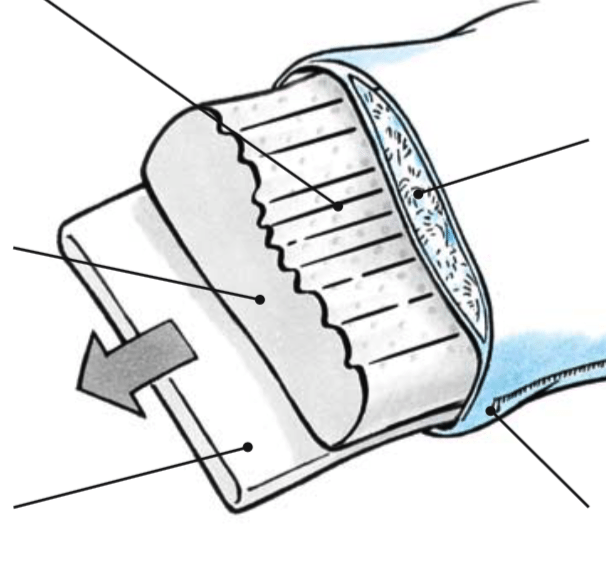 Dauny Nackenstützkissen Sanasleep Skizze Dauny Nackenstützkissen Sanasleep Skizze