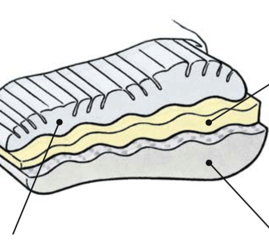 Dauny Sanavital Nackenstützkissen Dauny Sanavital Nackenstützkissen
