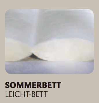 Centastar Sommerdecke Logo