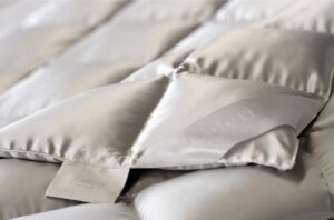 Isländische Eiderdaune bei Daunenspiel