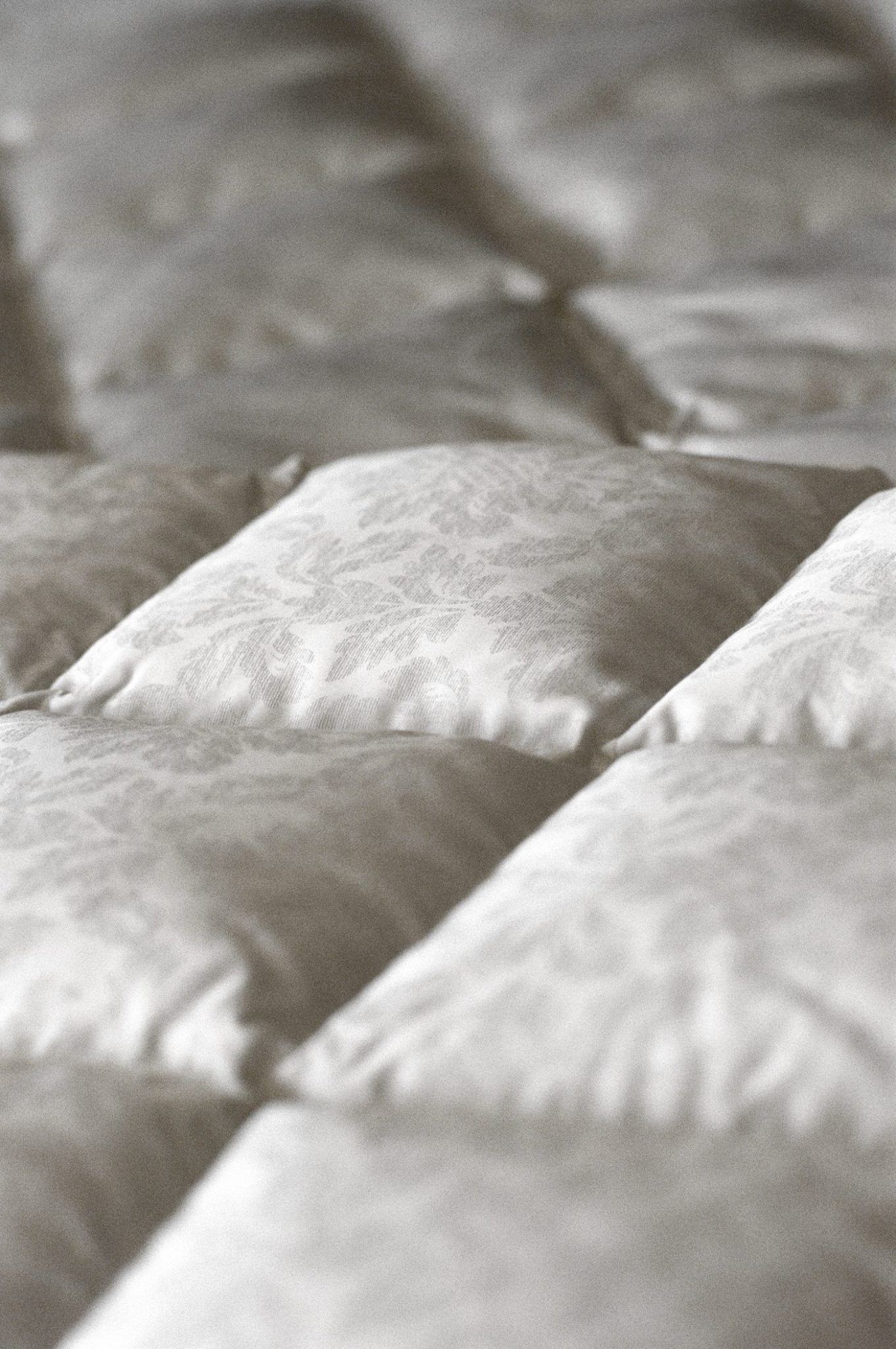 Dauny Eiderdurvets VeneziaAsh2 Isländische Eiderdaune mit Seidenbezug bei Daunenspiel