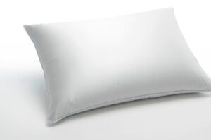 Daunenkissen aus Eiderdaune bei Daunenspiel online