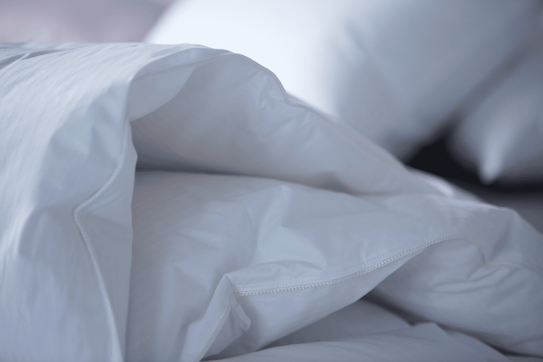 I_D_Superior_detail10