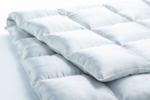 Eiderdaune aus Seide im Daunenspiel Online-Shop